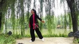 起舞视频,捕捉舞蹈之美